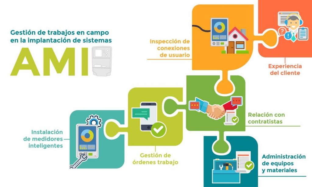 Gestión de trabajo en campo en la implementación ami